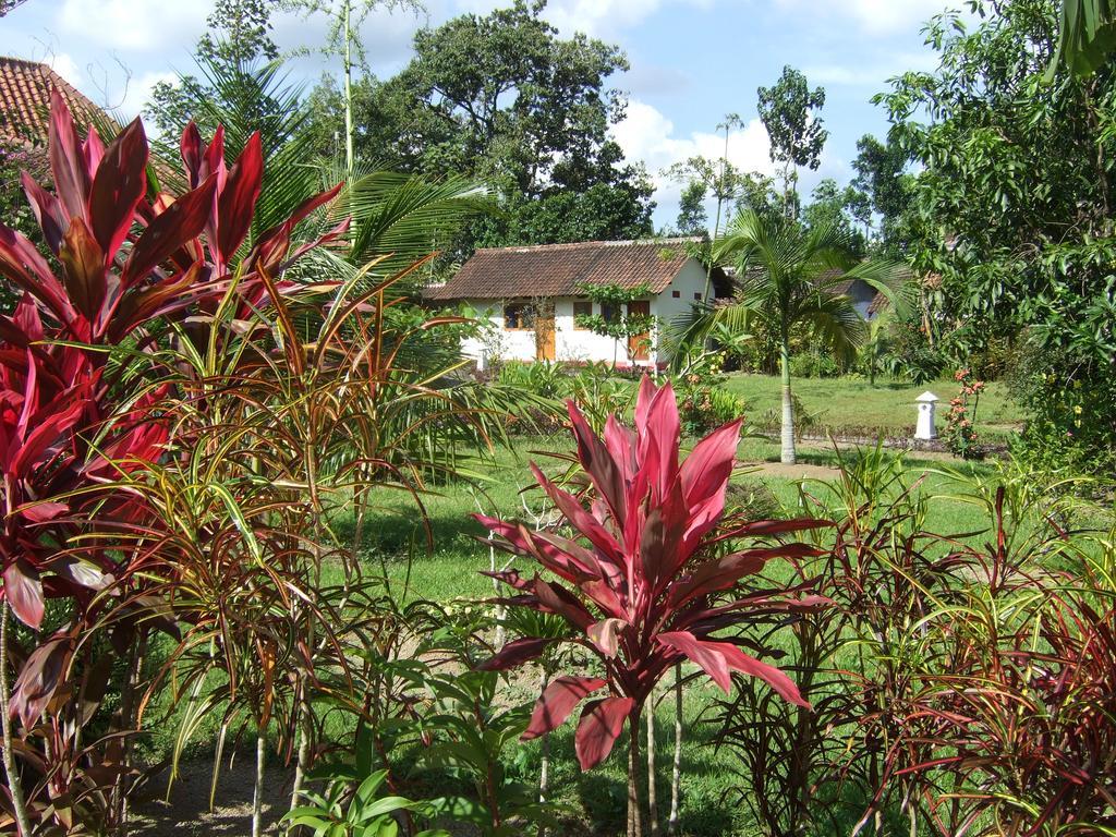 Guesthouse Rumah Senang Kalibaru Zewnętrze zdjęcie