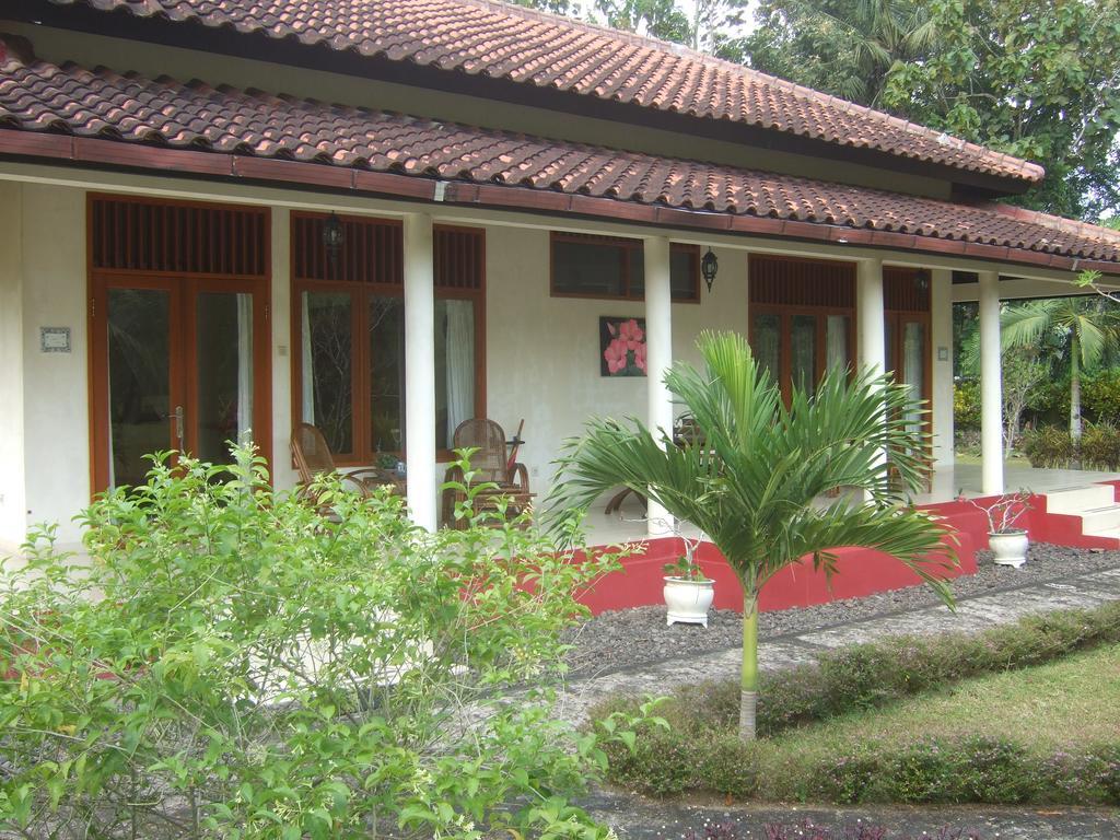 Guesthouse Rumah Senang Kalibaru Zewnętrze zdjęcie