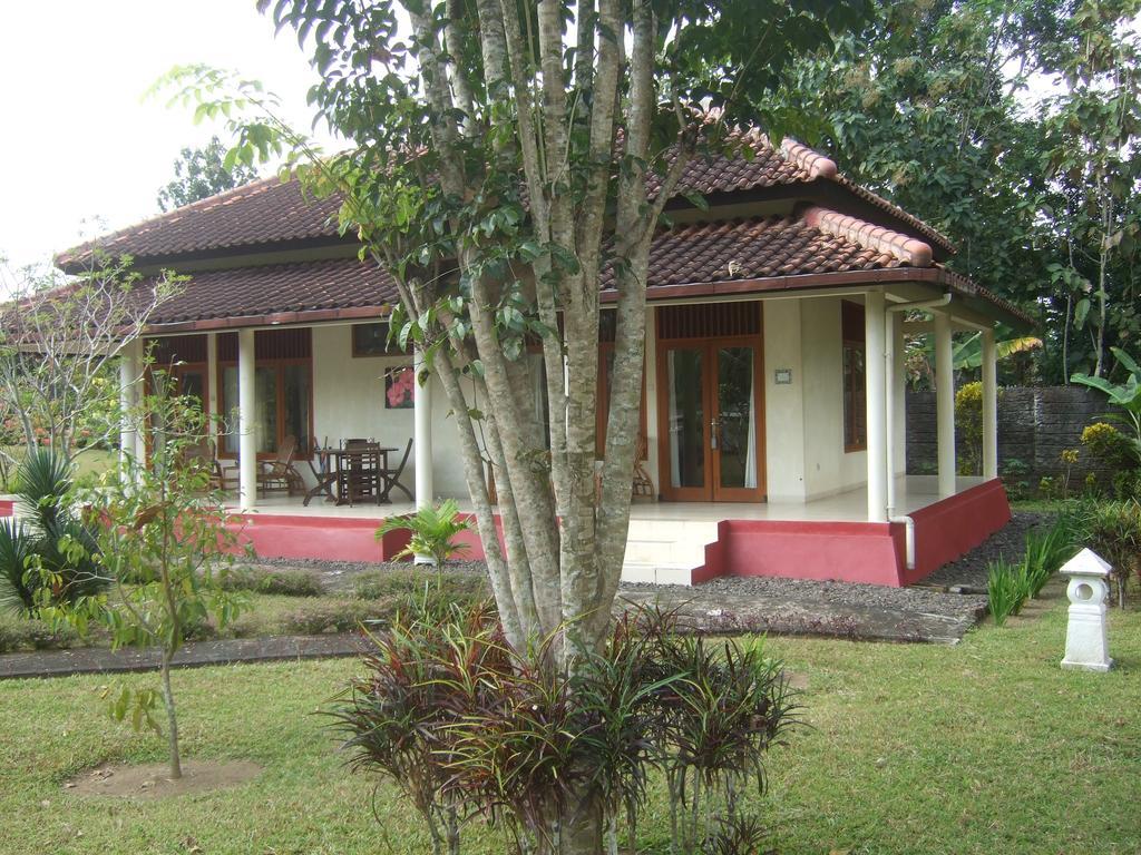 Guesthouse Rumah Senang Kalibaru Zewnętrze zdjęcie